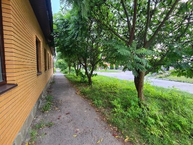 Здається в оренду частина будинку, в м. Сквира.