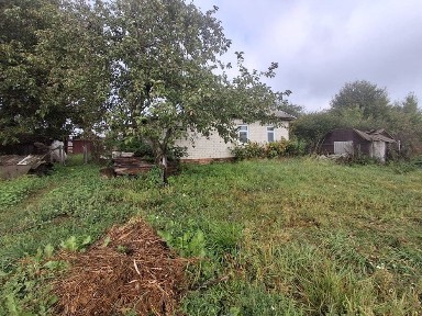 Житловий будинок с. Нове поряд з смт. Седнів