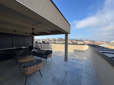 Оренда VIP пентхаусу у центрі з терасою, АВТОНОМНИЙ, можна з тваринками