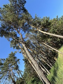 Продаж будинка 163m2 з власним виходом на воду біля лісу, Ходосівка