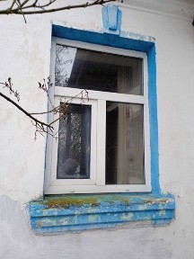 Продам будинок і земельну ділянку у с. Некраші (16 км від Житомира).