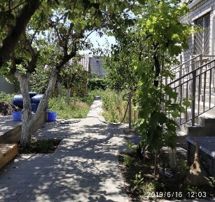 Продам дом-дачу в СОК «Заря» пригород Черноморска Одесской обл