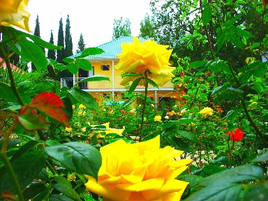 1-комнатная квартира посуточно 20 м²