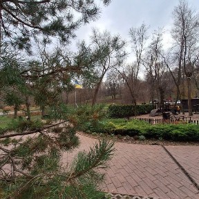 3-комнатная квартира у парка | Кирпичный дом | Свежий воздух