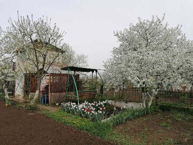 Земельна ділянка з дачним будинком