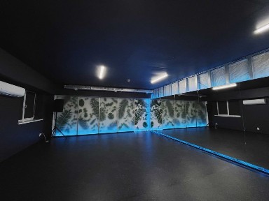 Приміщення з ремонтом під танцювальну студію 7у. о. за м2