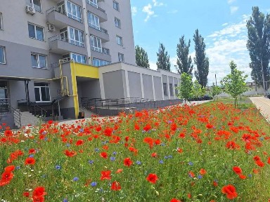 *️⃣Продаж 1-кім. квартири по вул. Ак. Янгеля, новобуд ( Вінницябуд) ‼️