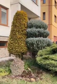 Оренда окремого поверху котеджу 100 кв. м. у Рудно, район Семінарії