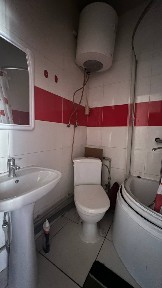 Аренда 1-комнатной квартиры 19 м², Большая Панасовская ул., 106