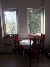 Оренда 1 кімнатної в центрі