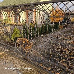 Продажа дома 153.8 м²