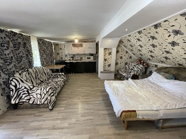 Здається однокімнатна квартира-студія на вул Митрака