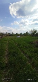 Хата з ділянкою городу біля неї