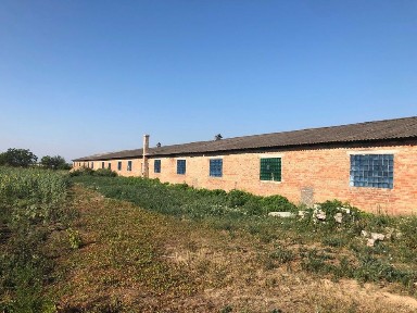 Діючий бізнес (вирощування та продаж бройлера)