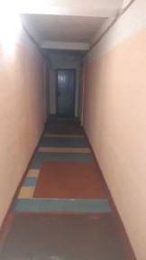 Аренда 1-ной квартиры на лесном массиве