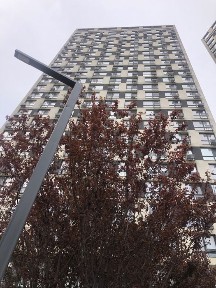 Квартира ЖК Славутич