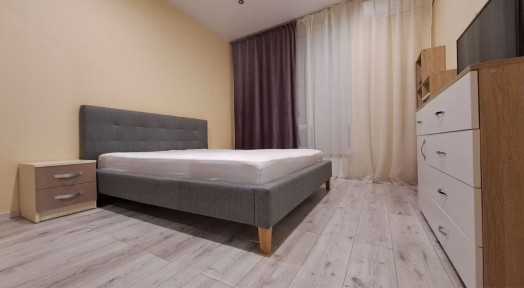 Закарпатська область, Ужгород