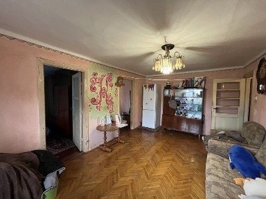 Закарпатська область, Берегове