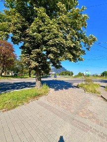 Рівненська область, Рівне