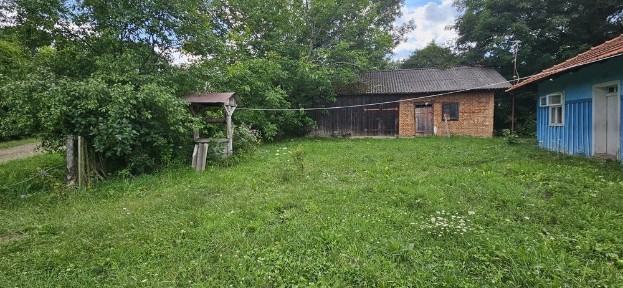 Івано-Франківська область, Трійця