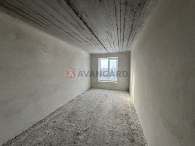 Черкаська область, Черкаси