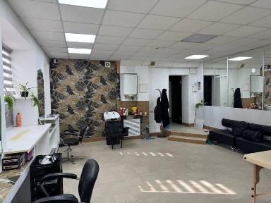 Київська область, Київ, Шевченківський