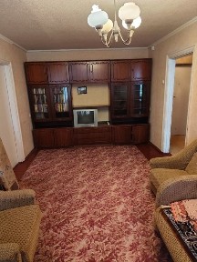 Дніпропетровська область, Дніпро, Центральний