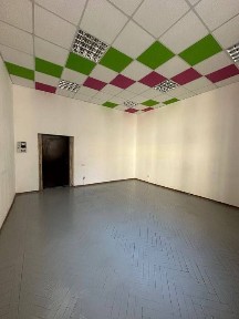 Харківська область, Харків, Шевченківський