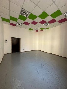 Харківська область, Харків, Шевченківський