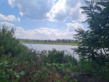 Дніпропетровська область, Кривий Ріг, Саксаганський