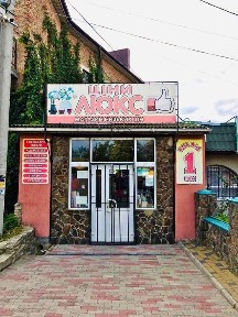 Рівненська область, Дубно