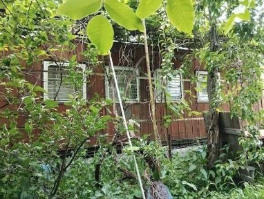 Житомирська область, Старий Солотвин