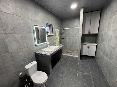 Будинок з новим ремонтом 91 м² у Требухові, 6,3 сотки та бізнесом ТОП!