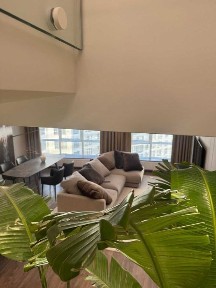 Львівська область, Львів, Франківський