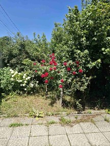 Полтавська область, Полтава