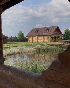 Київська область, Димер