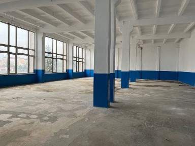 Івано-Франківська область, Івано-Франківськ