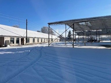 Київська область, Липовець