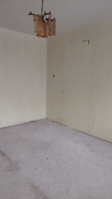 Закарпатська область, Ужгород