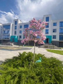 Київська область, Ірпінь