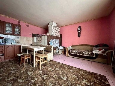 Продаж ч/б 50м2+окремий будинок 45м2,20,6соток землі, село Анисів (NN)