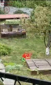 Полтавська область, Кременчук