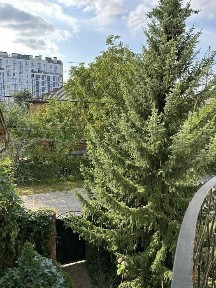 Продаж окремостоячого будинку з ділянкою кн. Ольги
