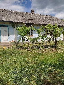 Продажа дома 39 м²
