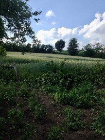 32 сотки під будинок або дачу - глиняна хата на подвір'ї, від власника