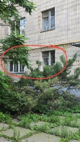 Київська область, Київ, Шевченківський