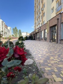 Київська область, Вишневе