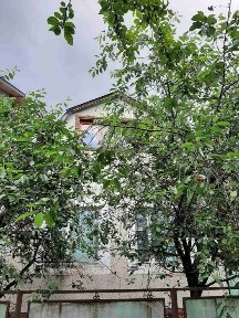 Закарпатська область, Оріховиця