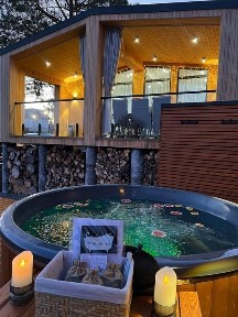 Львівська область, Лісопотік