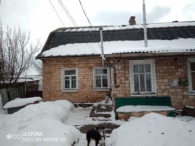 Київська область, Нові Петрівці